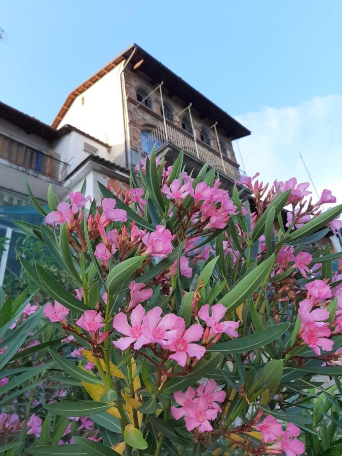 Le Case Di Angelina - Langhe Loft & Suites Farigliano Luaran gambar